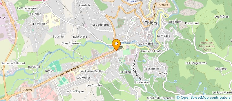 localisation de l'entreprise MADAME MIHAELA TUDORICA à THIERS