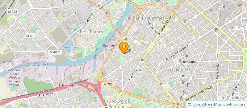 localisation de l'entreprise MADAME MIHO SUGIMURA à LILLE