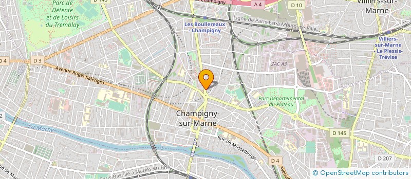 localisation de l'entreprise MADAME MILA DEDE à CHAMPIGNY-SUR-MARNE