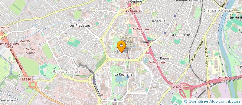 localisation de l'entreprise MADAME MILA FLATRY  TOULOUSE