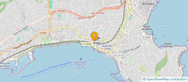 localisation de l'entreprise MADAME MILENA BRANKOVIC  ANTIBES