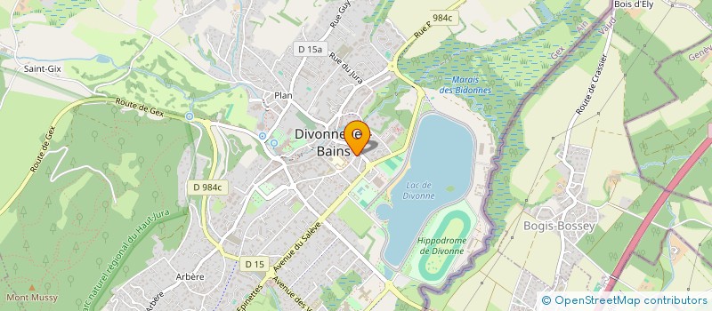 localisation de l'entreprise MADAME MILENA COIGNAT  DIVONNE-LES-BAINS