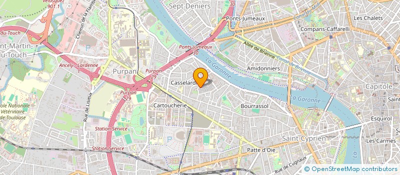 localisation de l'entreprise MADAME MILENA SALMON  TOULOUSE