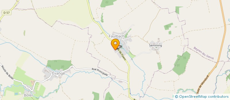 localisation de l'entreprise MADAME MILENE FERRARI  RODEMACK