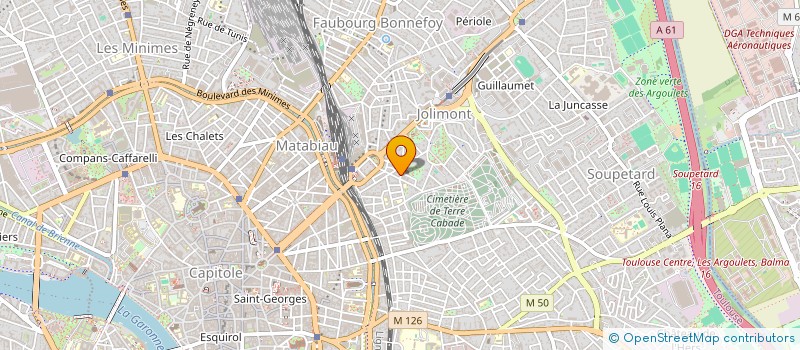 localisation de l'entreprise MADAME MIMOSA DANGLA à TOULOUSE