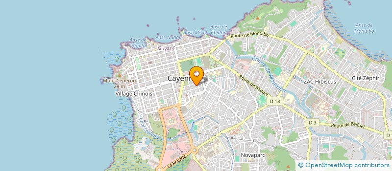 localisation de l'entreprise MADAME MIMOSE FAUSTIN  CAYENNE