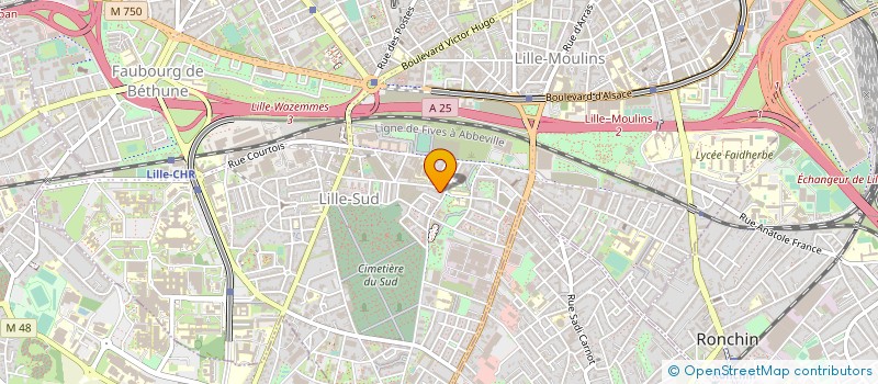 localisation de l'entreprise MADAME MINA IZIKI à LILLE