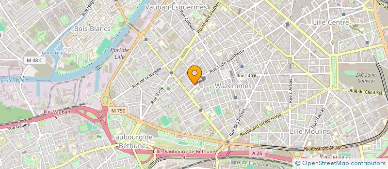 localisation de l'entreprise MADAME MINA LESCS  LILLE