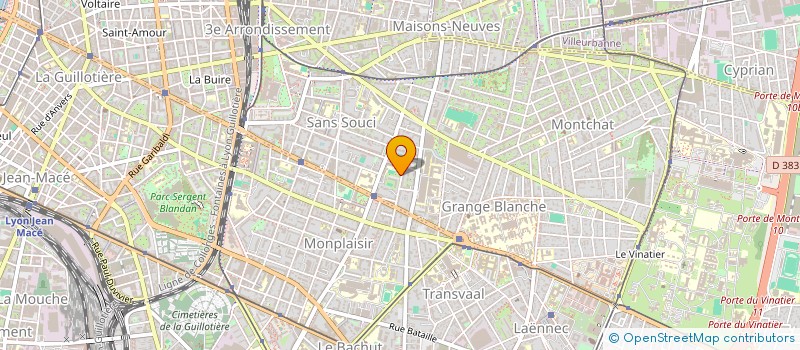 localisation de l'entreprise MADAME MINKA PETROVA DIMCHEVA  LYON