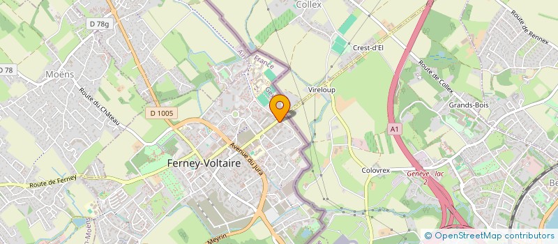 localisation de l'entreprise MADAME MINYI HOU à FERNEY-VOLTAIRE