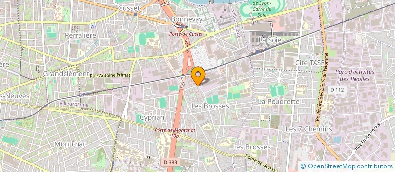 localisation de l'entreprise MADAME MIRABELLE NGUEGANG  VILLEURBANNE