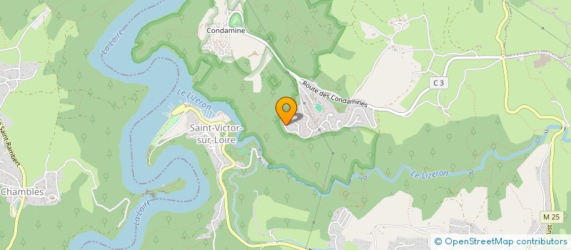 localisation de l'entreprise MADAME MIREIA BERTOS-FORTIS  SAINT-ETIENNE