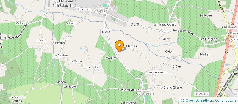 localisation de l'entreprise MADAME MIREILLE BOUCHARD  CUBNEZAIS