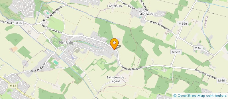 localisation de l'entreprise MADAME MIREILLE COULY  PIN-BALMA