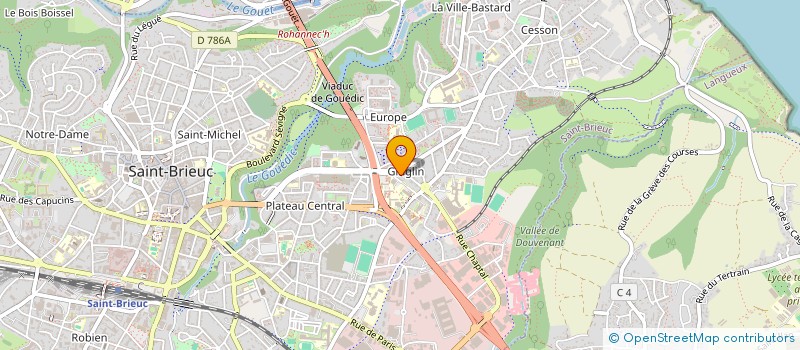 localisation de l'entreprise MADAME MIREILLE EVAIN à SAINT-BRIEUC