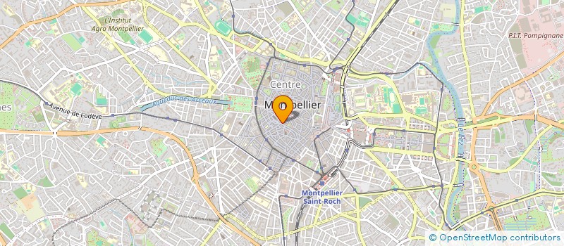 localisation de l'entreprise MADAME MIREILLE JUNAS à MONTPELLIER