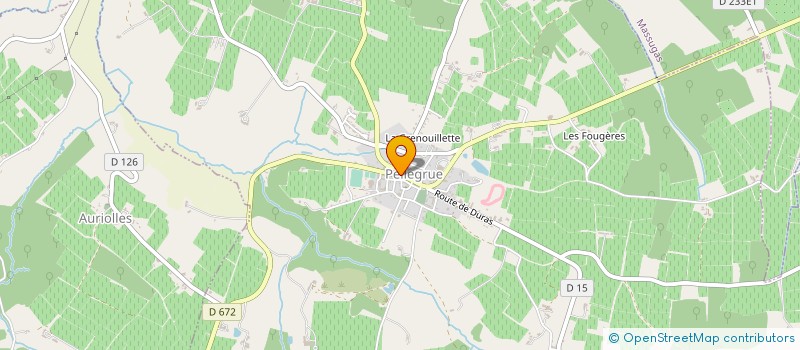 localisation de l'entreprise MADAME MIREILLE MONCUT  PELLEGRUE