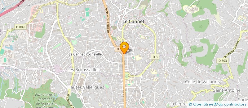 localisation de l'entreprise MADAME MIREILLE NESSI à LE CANNET