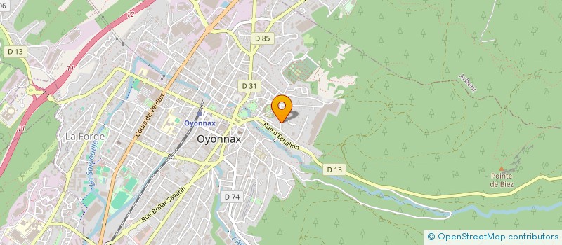localisation de l'entreprise MADAME MIREILLE PASTISSON à OYONNAX