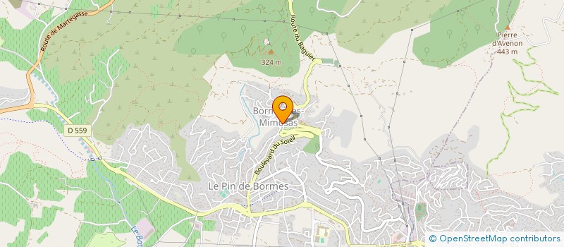 localisation de l'entreprise MADAME MIREILLE PAYRE à BORMES-LES-MIMOSAS