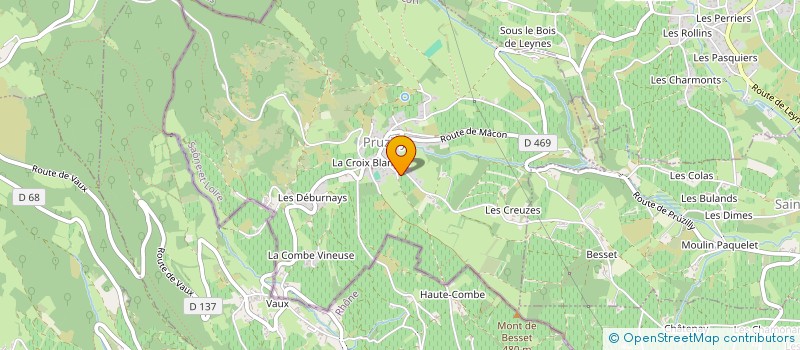 localisation de l'entreprise MADAME MIREILLE RICHARD  PRUZILLY