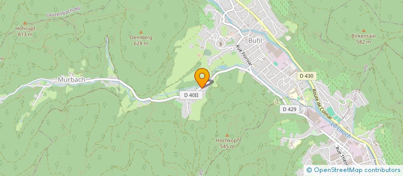 localisation de l'entreprise MADAME MIREILLE WINCKLER  BUHL