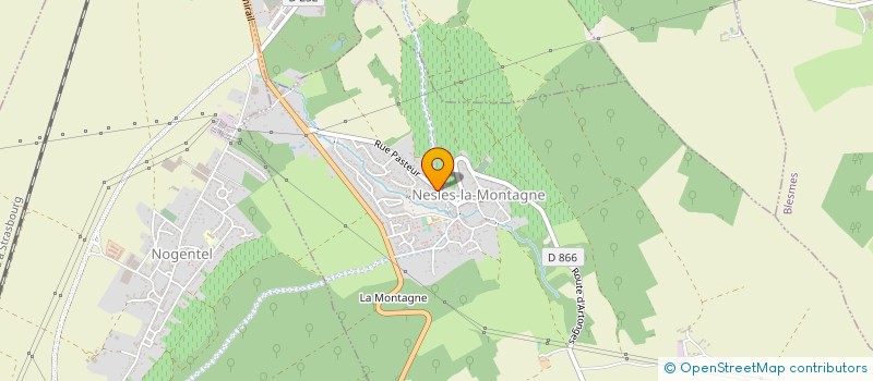 localisation de l'entreprise MADAME MIRELA IONESCU  NESLES-LA-MONTAGNE