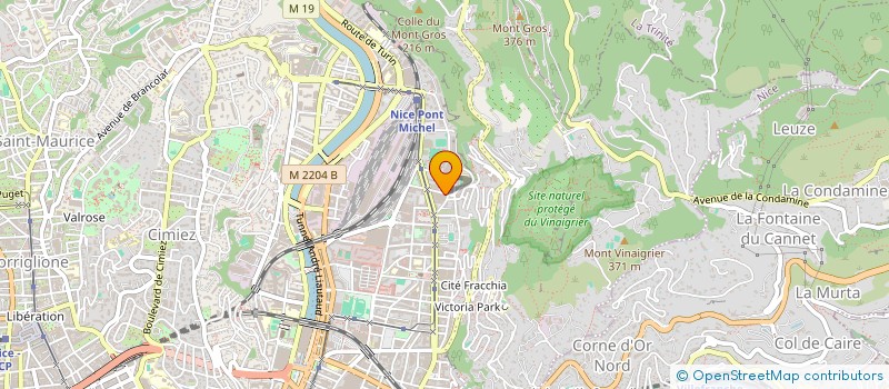 localisation de l'entreprise MADAME MIRELA NITA  NICE