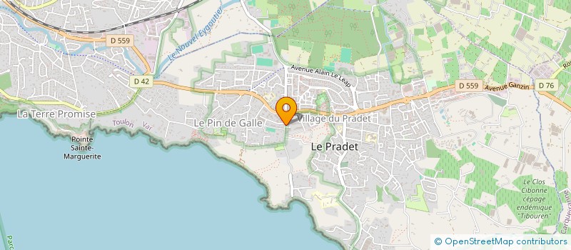 localisation de l'entreprise MADAME MIRELLA CARBASA à LE PRADET
