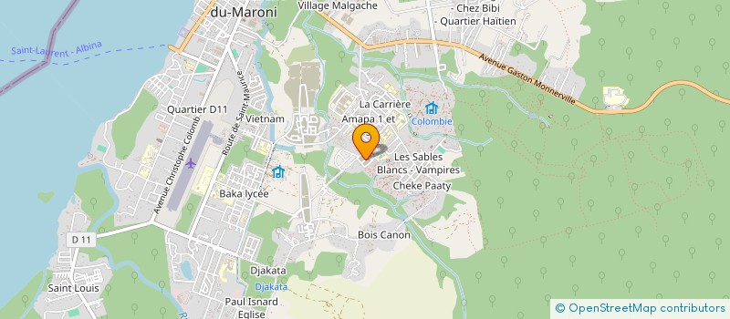 localisation de l'entreprise MADAME MIREMONDE FLEUZIN à SAINT-LAURENT-DU-MARONI