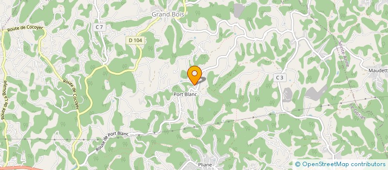 localisation de l'entreprise MADAME MIRIAN GONZALEZ ENCARNACION  POINTE-A-PITRE