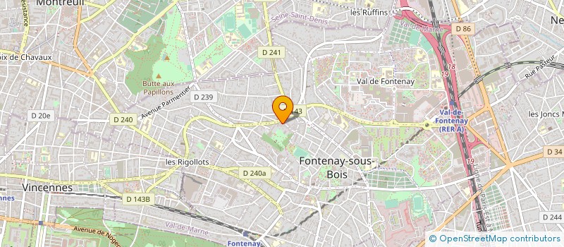 localisation de l'entreprise MADAME MIRJANA DJERMANOVIC à FONTENAY-SOUS-BOIS