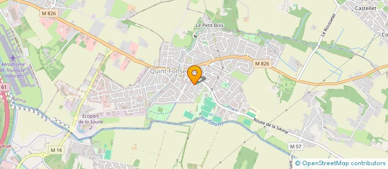 localisation de l'entreprise MADAME MOHAMED-ELAMINE BENHADDI  QUINT-FONSEGRIVES