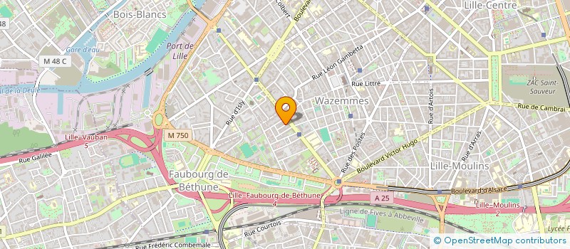 localisation de l'entreprise MADAME MOHAMMED AHMED à LILLE