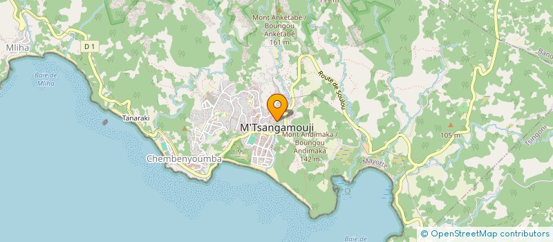 localisation de l'entreprise MADAME MOINECHA-ATTOUMANI VITA à M'TSANGAMOUJI