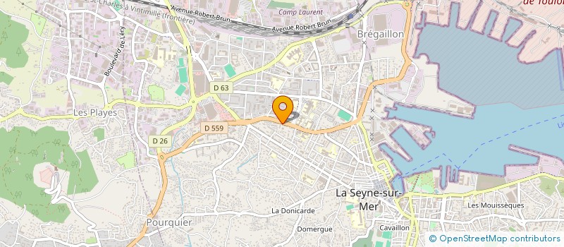 localisation de l'entreprise MADAME MONICA BOTERO VICTORIA  LA SEYNE-SUR-MER