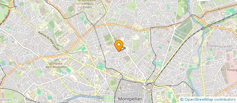 localisation de l'entreprise MADAME MONICA MODOL TORRAS à MONTPELLIER
