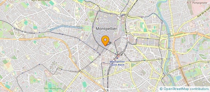 localisation de l'entreprise MADAME MONIQUE AGULLO à MONTPELLIER