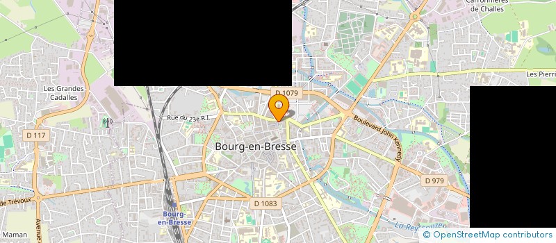 localisation de l'entreprise MADAME MONIQUE BERTHET à BOURG-EN-BRESSE