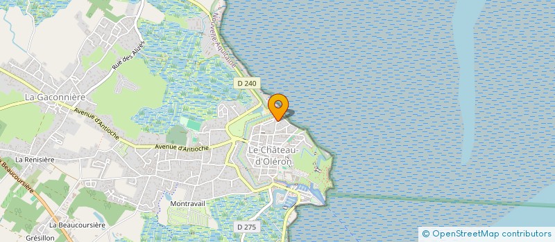 localisation de l'entreprise MADAME MONIQUE CHAILLOLEAU  LE CHATEAU D'OLERON