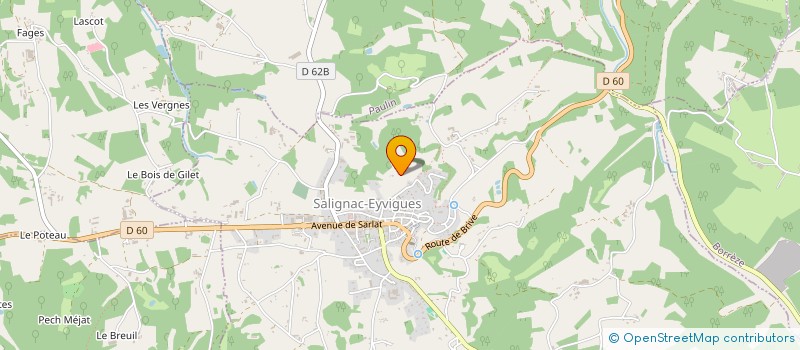 localisation de l'entreprise MADAME MONIQUE DARFEUILLE à SALIGNAC-EYVIGUES