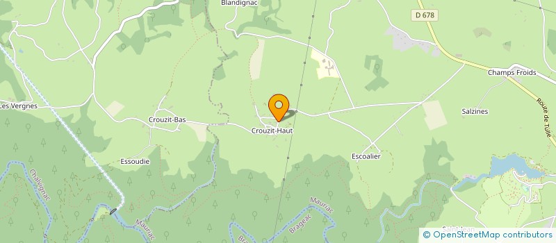 localisation de l'entreprise MADAME MONIQUE DISCHANT à CHALVIGNAC