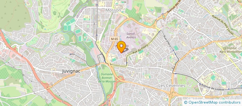 localisation de l'entreprise MADAME MONIQUE EINHORN à MONTPELLIER