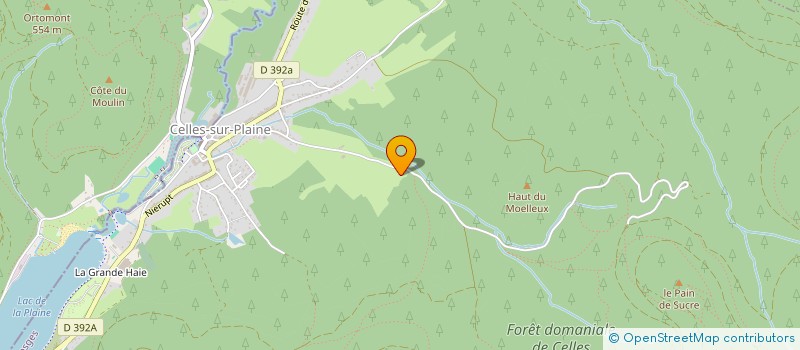 localisation de l'entreprise MADAME MONIQUE FLON  CELLES-SUR-PLAINE