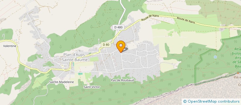 localisation de l'entreprise MADAME MONIQUE FRANCOIS  PLAN-D'AUPS-SAINTE-BAUME