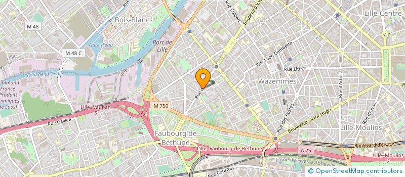localisation de l'entreprise MADAME MONIQUE GREFFE à LILLE