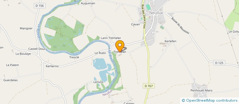 localisation de l'entreprise MADAME MONIQUE GUILLARD  SAINT-THURIAU