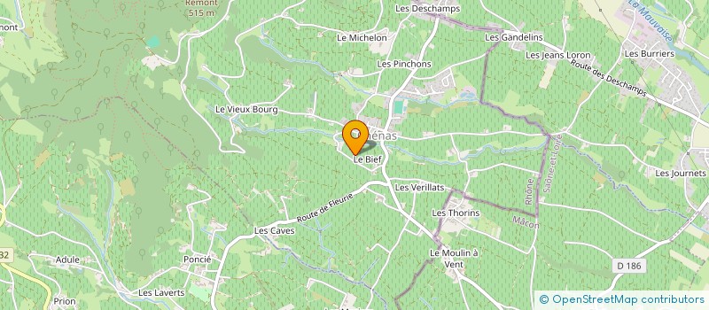 localisation de l'entreprise MADAME MONIQUE GUILLARD  CHENAS