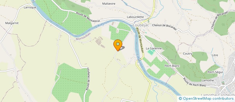 localisation de l'entreprise MADAME MONIQUE LARROQUE à MONTAUBAN