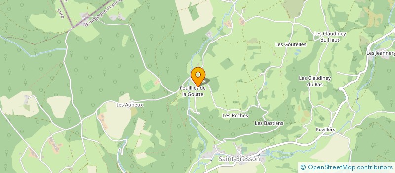 localisation de l'entreprise MADAME MONIQUE LECLERC  SAINT-BRESSON